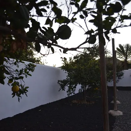 Mónica By Mirador De Sotavento Cardon