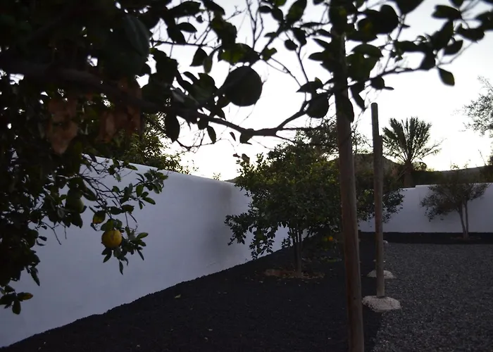 Monica By Mirador De Sotavento Cardon